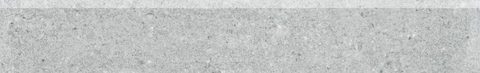 DSAS4661