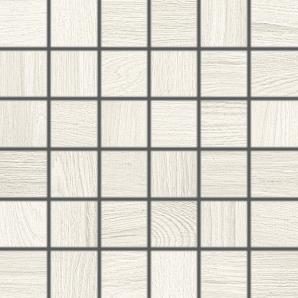 298x298 DDM06140